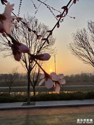 三星 Galaxy S23 Ultra
拍攝「春報曉」