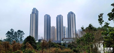 高廬紫云臺隨拍 隨便拍攝記錄記錄記錄