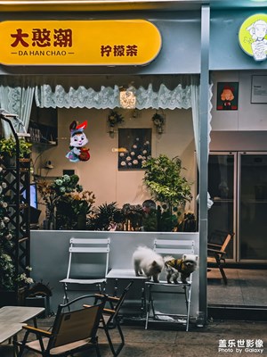 23u晚上拍照太好看了