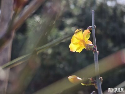【光影記事】春暖花開