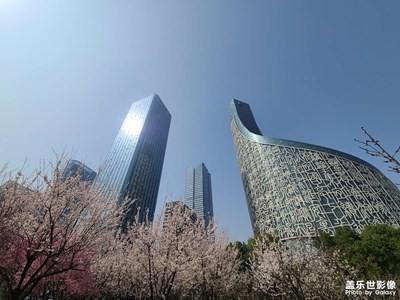 【光影記事】早間賞梅