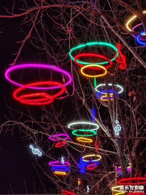 【美麗夜景】城市燈光秀