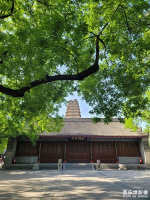 西安小雁塔（薦福寺）