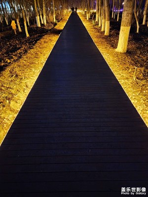 【美麗夜景】城市燈光秀（三）