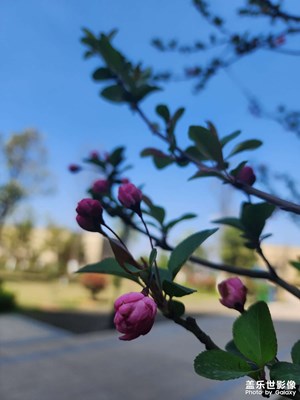 世事千帆過(guò)，前方終會(huì)是溫柔和月光