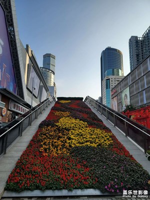 【光影記事】+?幸福時光