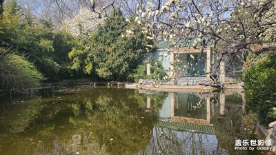  ???緩存三月的溫柔與可愛(ài)