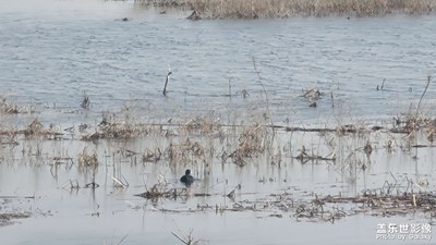 早春，人與自然和諧相處
