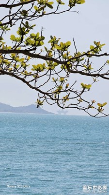 但愿各位看官喜歡