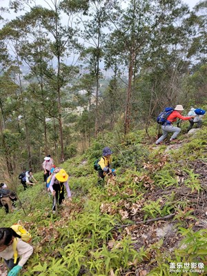 【春之序曲】+徒步陸川