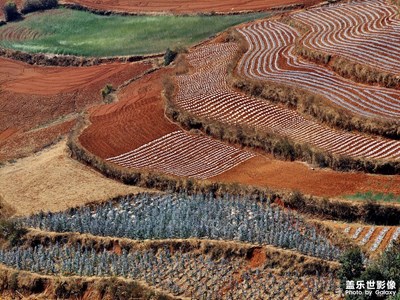 陳南拍，最美的三月東川