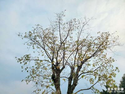 【春之序曲】春回大地