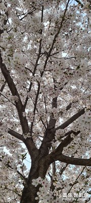 進(jìn)來喝茶