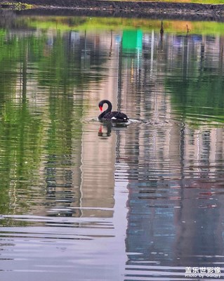 春分