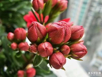 【生活的色彩】+隨手拍