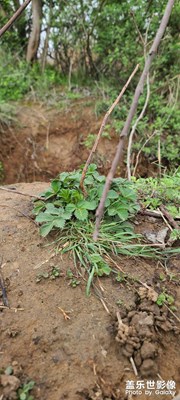 物是人非，山長水闊