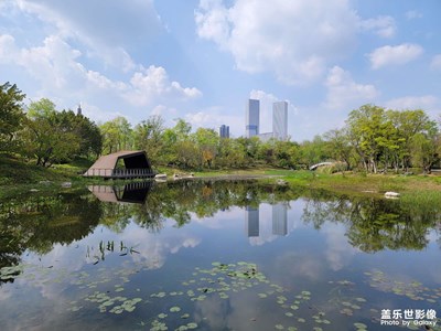 春光燦爛的日子……