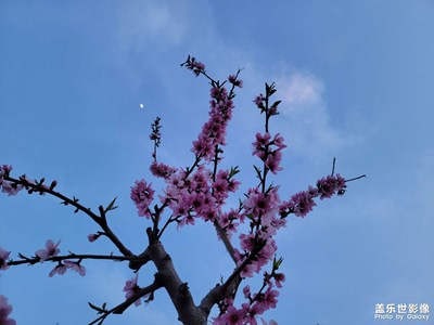 【美好時(shí)光】十里桃花十里風(fēng)