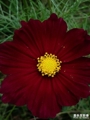 還記得當年的none3嗎？看下當年他的拍照能力。