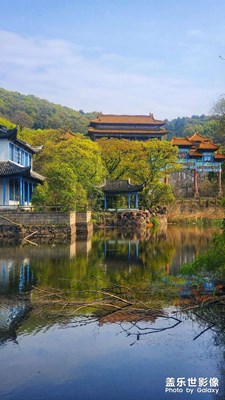 致即將失去的美麗風景