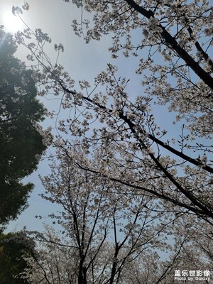 【美好時(shí)光】生活