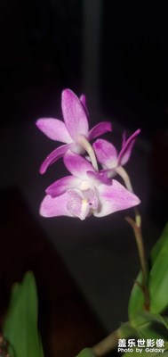 夏天到了。。。。