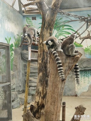 天氣好晴朗處處好風(fēng)光