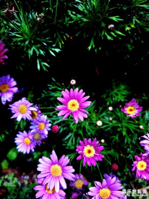 剛學拍照，請多指教！