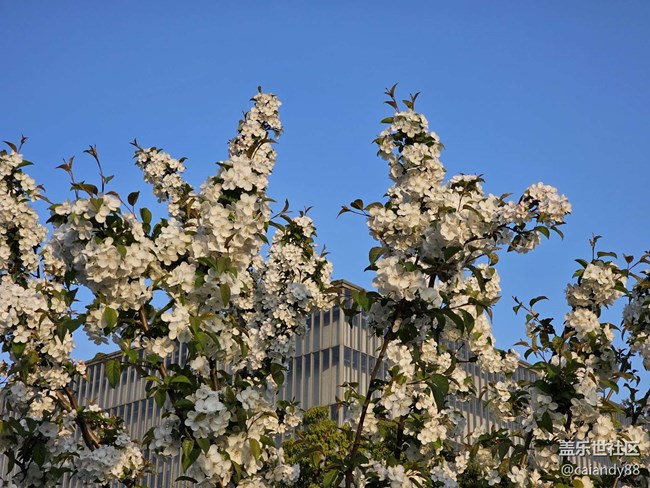 已開獎【Note版四月第三周】Note手機里的春天