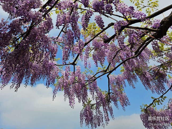 已開獎【Note版四月第三周】Note手機里的春天