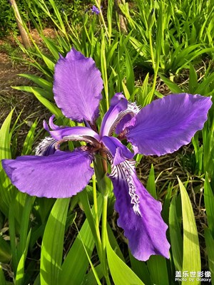 雙擁公園