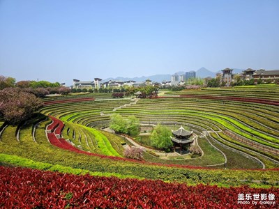 奢香古鎮(zhèn)梯田_實拍直出