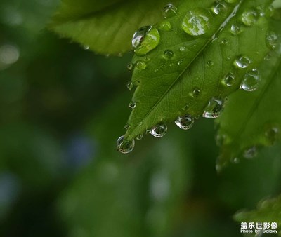【四月物語】春雨