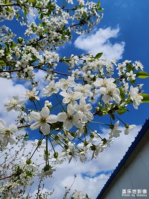 【四月物語】芬芳四月