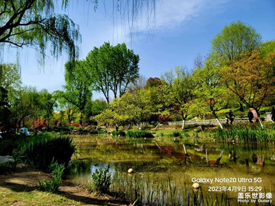植物園春色
