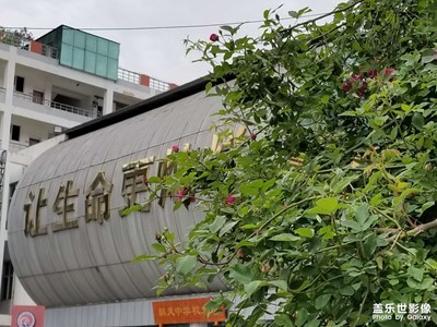 【四月物語(yǔ)】花花花