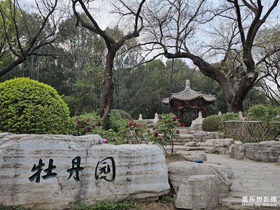 牡丹花開時節(jié)