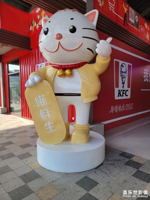 閑逛后的照片