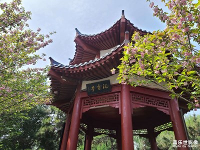 【相約春天】春滿人間