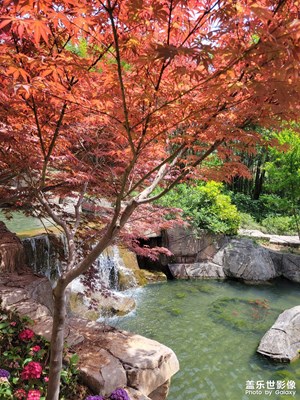 【相約春天】+春色