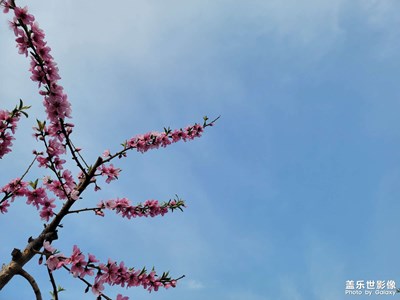 【相約春天】春日有約