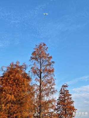 三桑拍天空好看哎