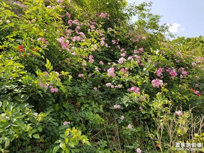 【至生活】陽(yáng)光上班路