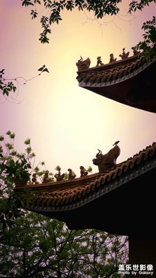 走走停停，風(fēng)景總在不經(jīng)意間??????