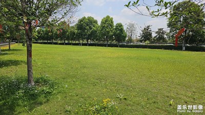 【至生活】+生活碎片