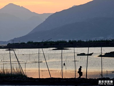 如此十倍光變鏡頭，怎能不愛？