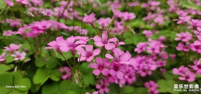 美哉--古都長安，富足垂美、和諧家園。