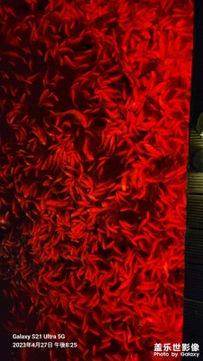 【我的五一】+公園游