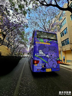 有種生活叫向往昆明。