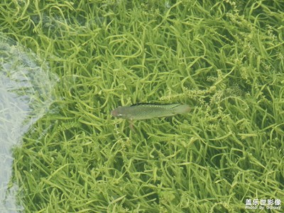 【我的五一】+曉港公園風(fēng)景篇2